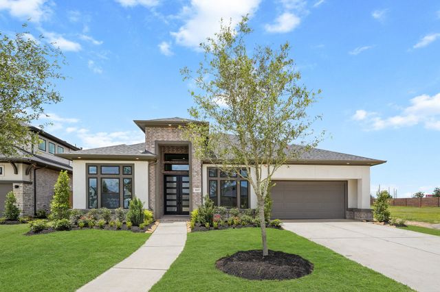 3615 Blue Mistflower — Katy Court