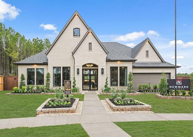 25002 Golden Tallgrass Dr — Elyson