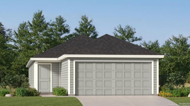 11338 Evergreen Rose — Rose Valley