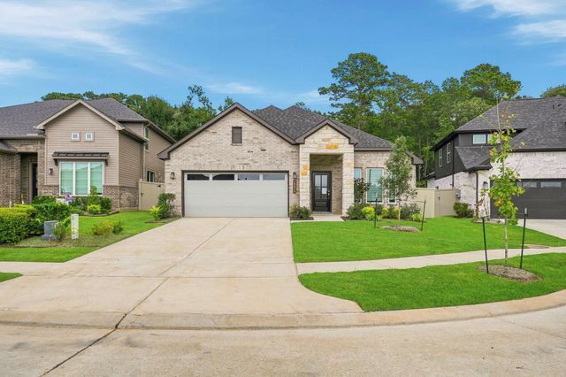 15010 Baikal Teal Ter — Audubon