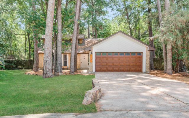 19 Tremont Woods Ct — Wdlnds Village Panther Ck 16