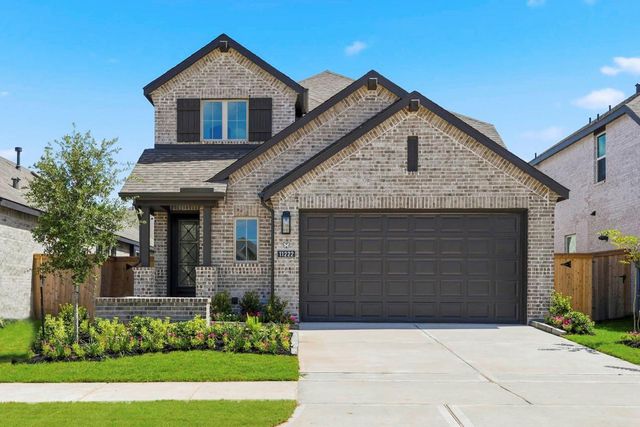 11222 Peacock Flower St — Bridgeland